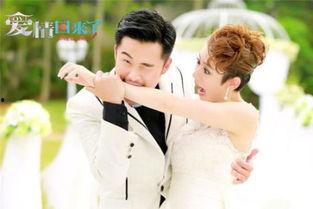 爱情回来了的背景音乐